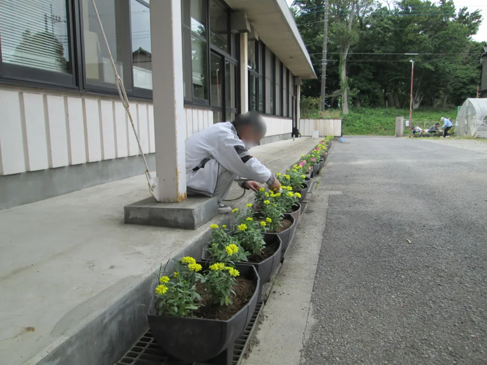 出荷に向けて、花の植え替え作業を行いました（花苗班）_3