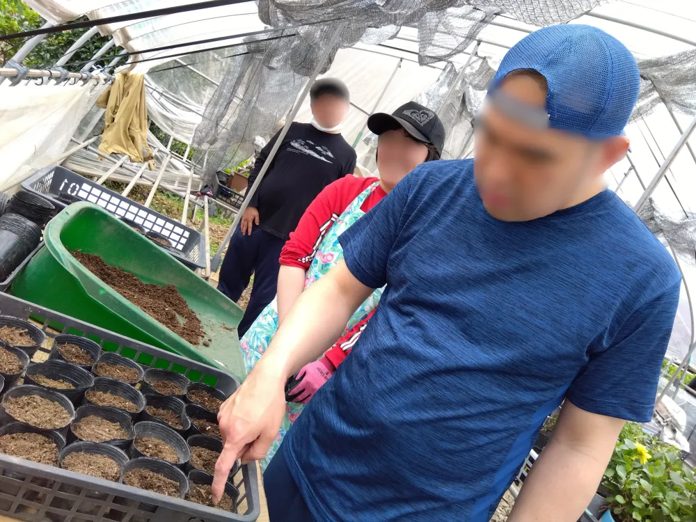 ヒマワリとアサガオの種まきをしました（生活介護）_1