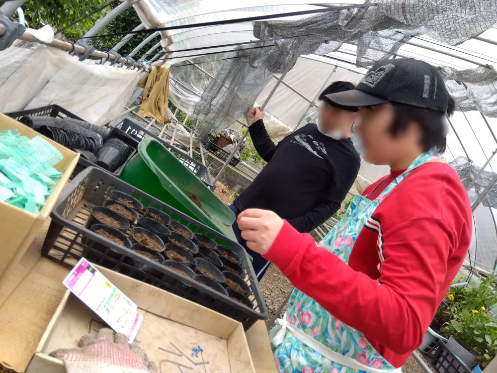 ヒマワリとアサガオの種まきをしました（生活介護）_2