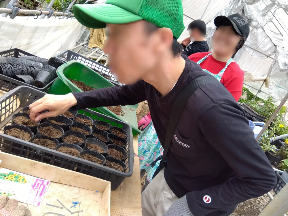 ヒマワリとアサガオの種まきをしました（生活介護）_3
