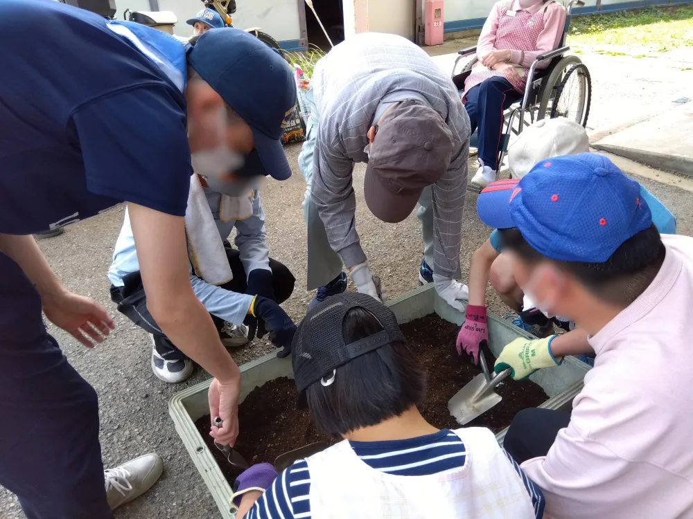 ゴーヤを植えて緑のカーテンを作ろう（生活介護）_3