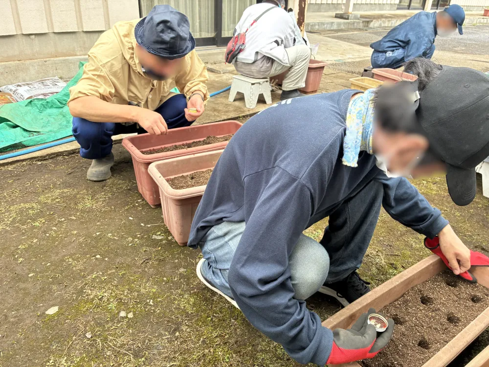 葉物野菜の植え付けをおこないました（花苗班）_2